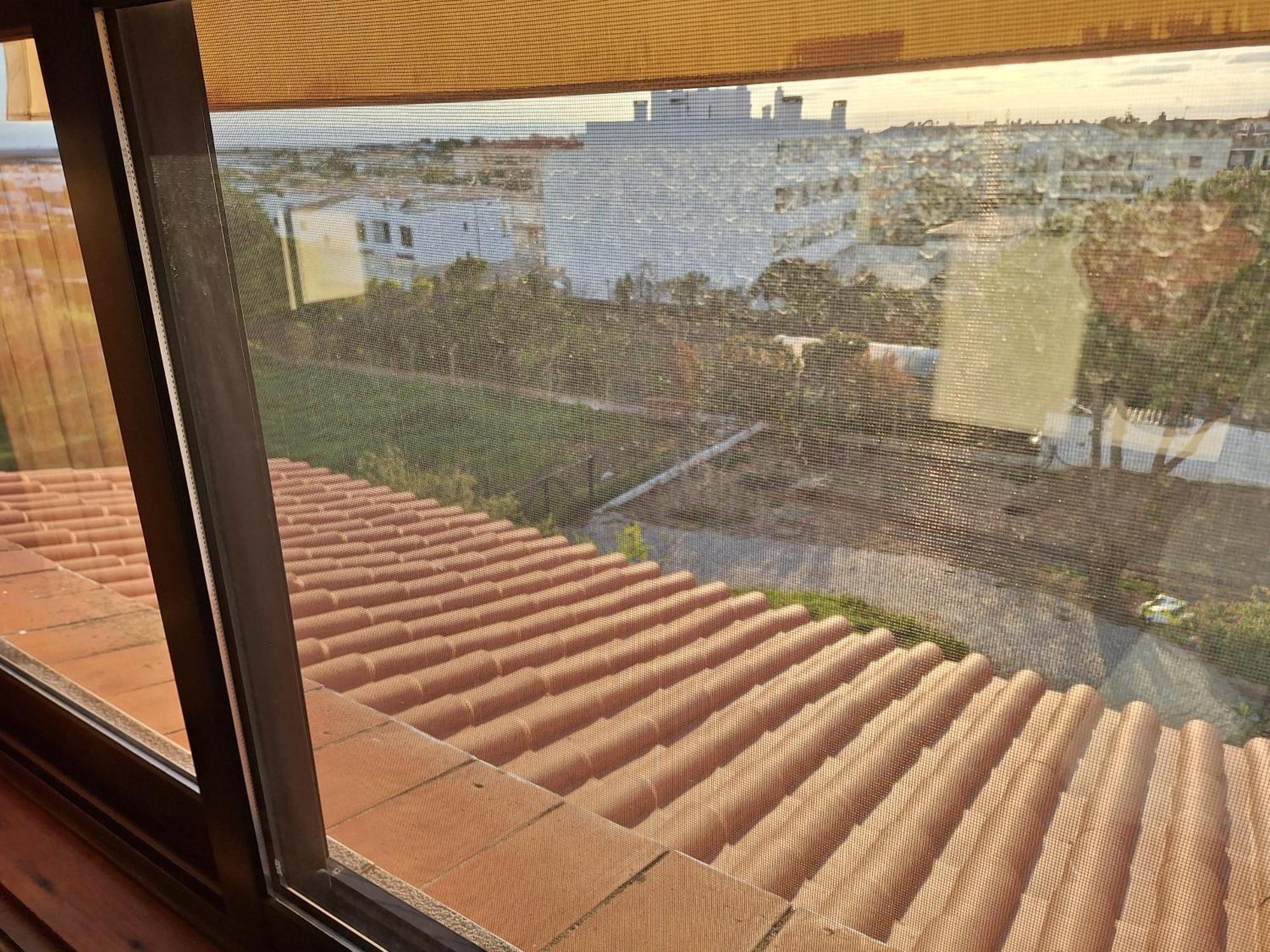 פארו Monteverde מראה חיצוני תמונה