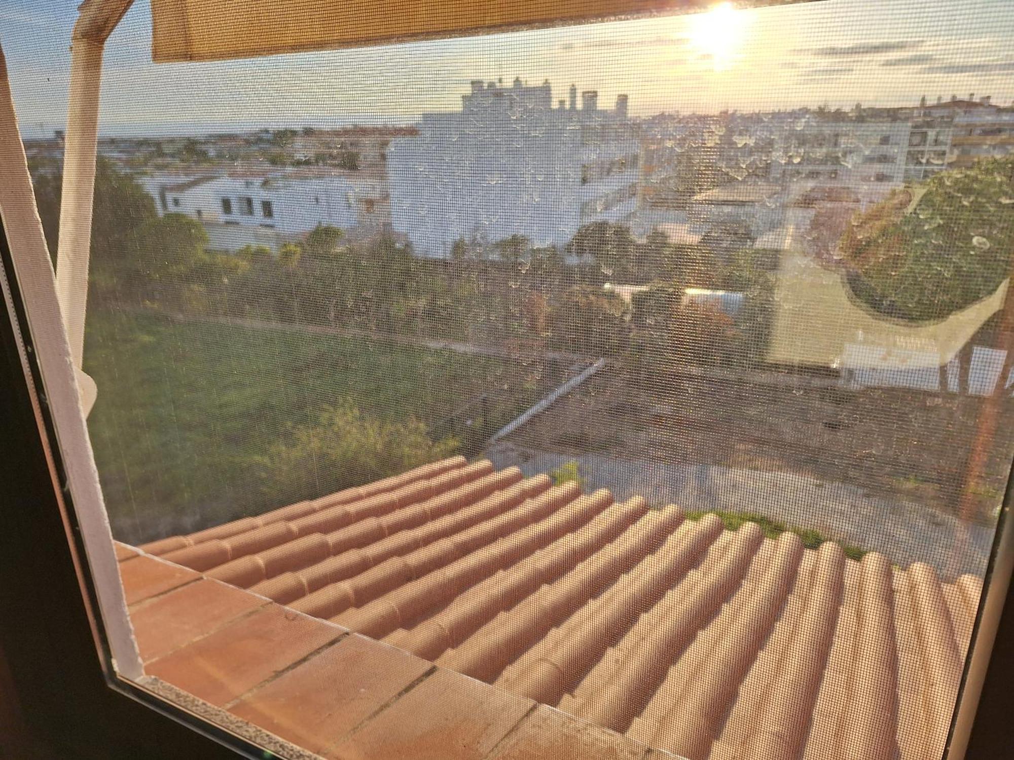 פארו Monteverde מראה חיצוני תמונה